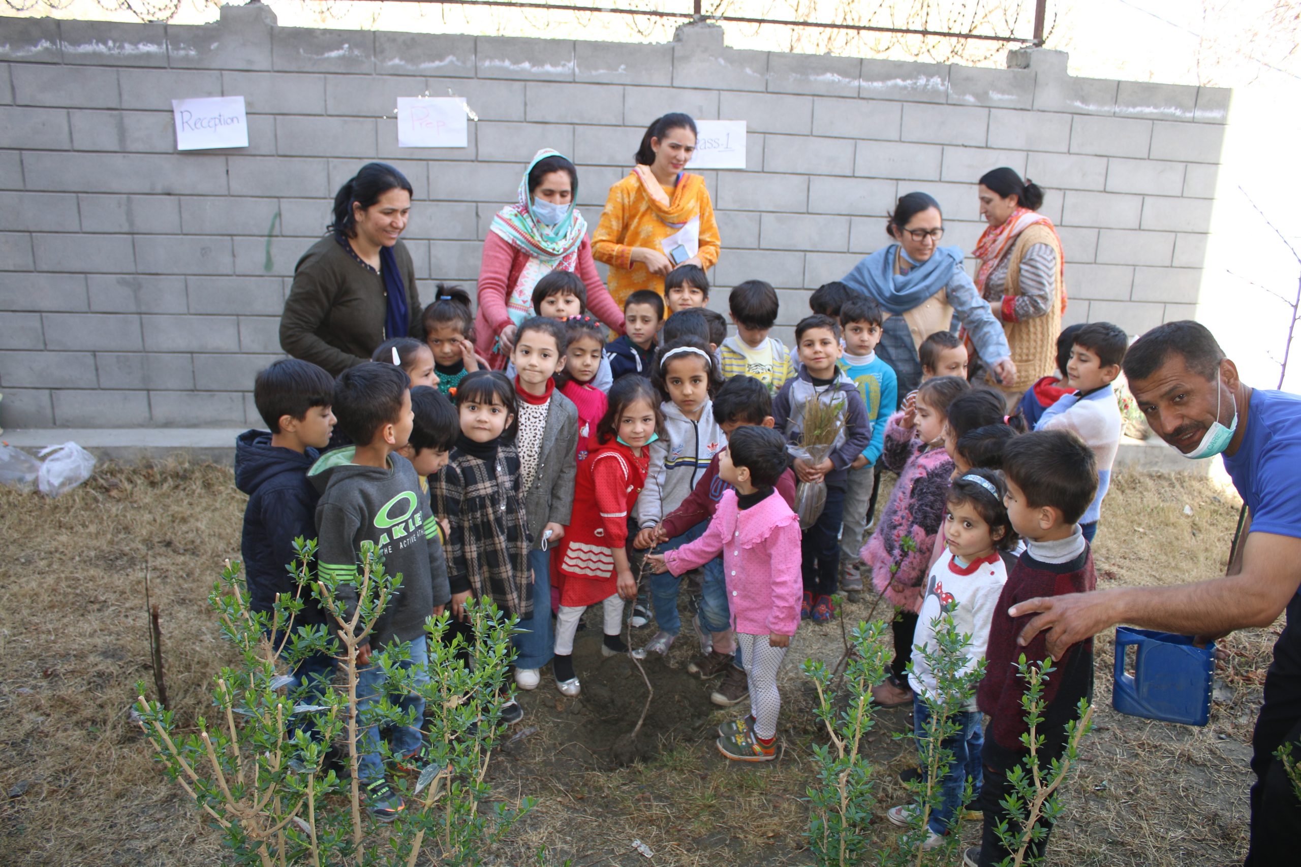 Plantation Day celebrated at MFF School.